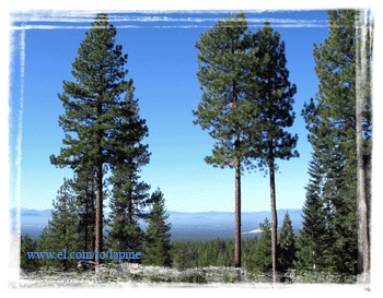 La Pine, Oregon